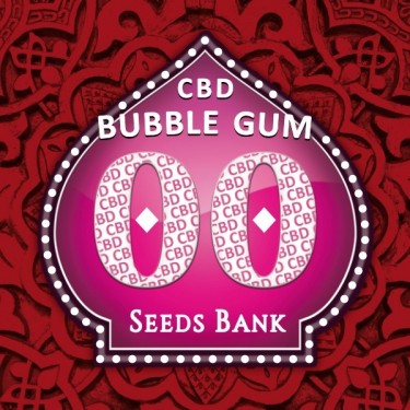 View Bubble Gum CBD