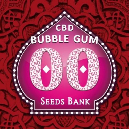 Bubble Gum CBD