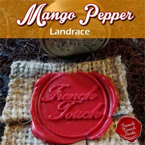 View Planta de marihuana