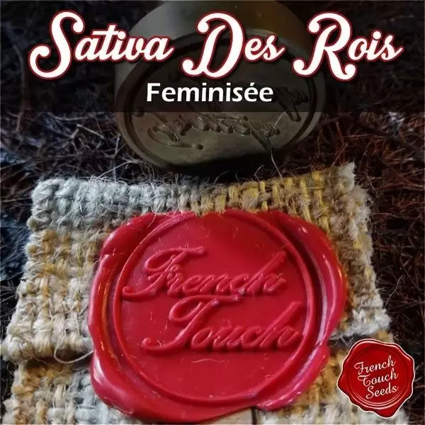 Sicht Planta de marihuana