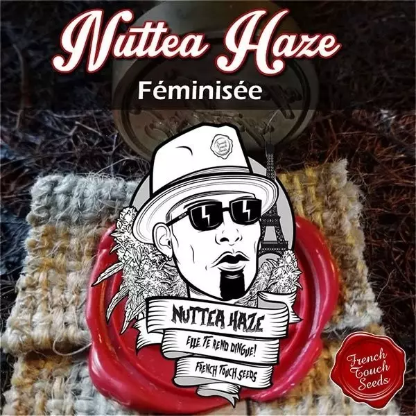 Sicht Planta de marihuana