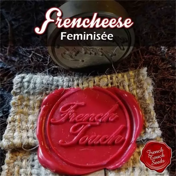 Sicht Planta de marihuana