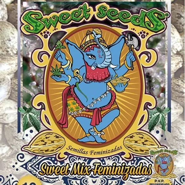 Sicht Sweet Mix feminisierte 10 Samen