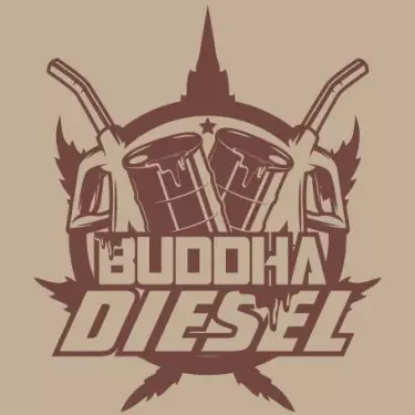Buddha Diesel feminisiert von Buddha Seeds - Günstig anbauen