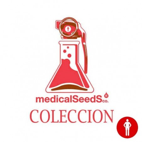Medical Seeds Feminisierte Kollektion 1 - Günstig Anbauen