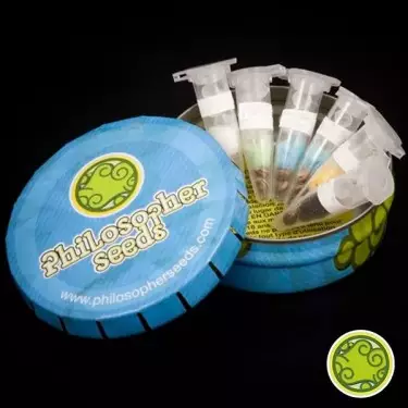 Outdoor Mix von Philosopher Seeds feminisiert - Günstig Anbauen