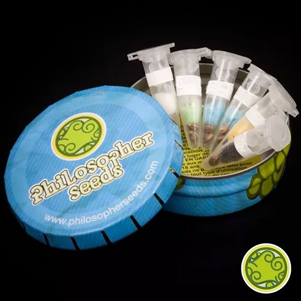 Outdoor Mix von Philosopher Seeds feminisiert - Günstig Anbauen