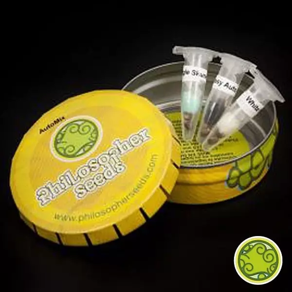 Sicht Auto Mix cajita de metal