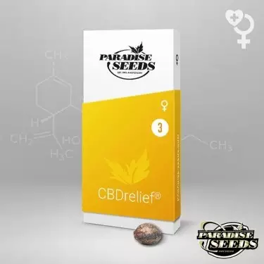 CBDrelief Paradise Seeds feminisierte Samen - Günstig Grow