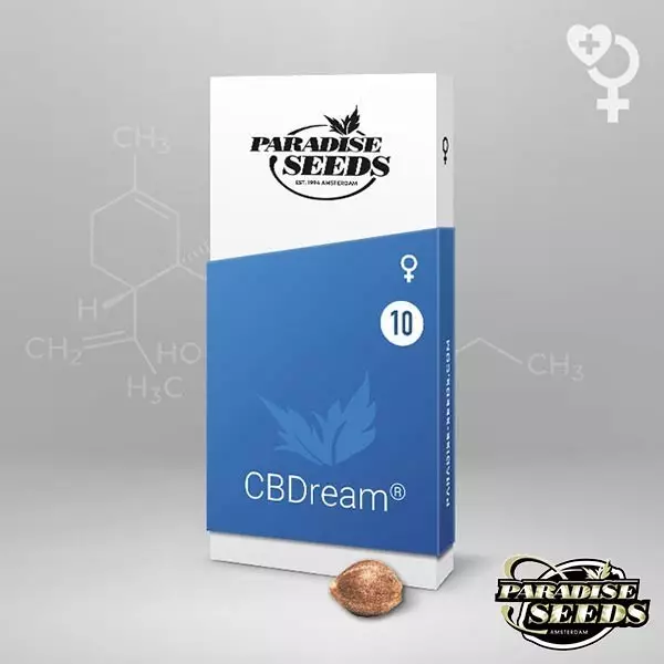 CBDream Paradise Seeds feminisierte Samen - Günstig anbauen