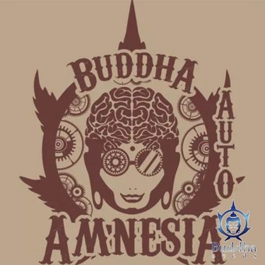 View Buddha Auto Amnesia