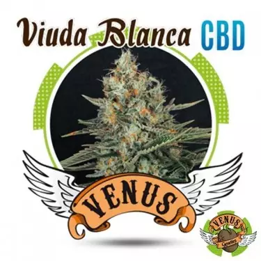 Viuda Blanca CBD