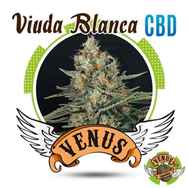 View Viuda Blanca CBD