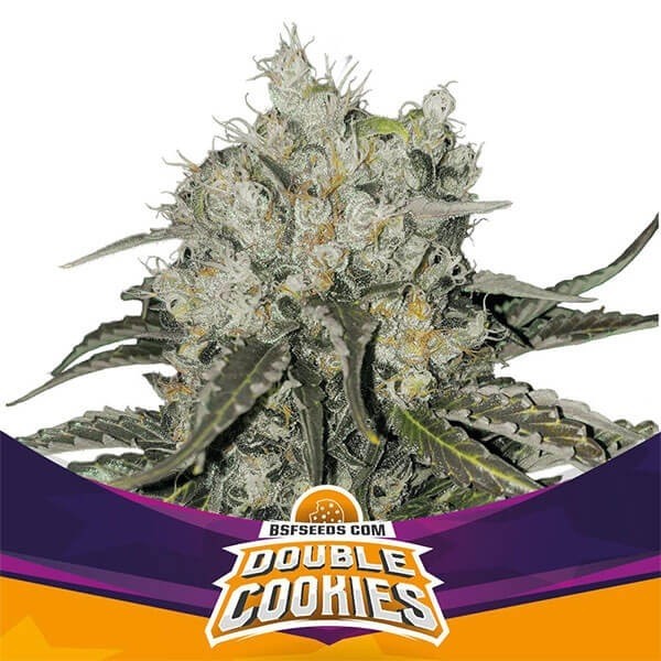 View Double Cookies