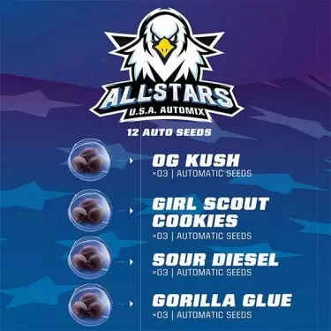 BSF Seeds All Star USA Automix-Samen - Günstig anbauen