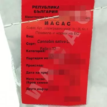 Felina 32 - Specifications