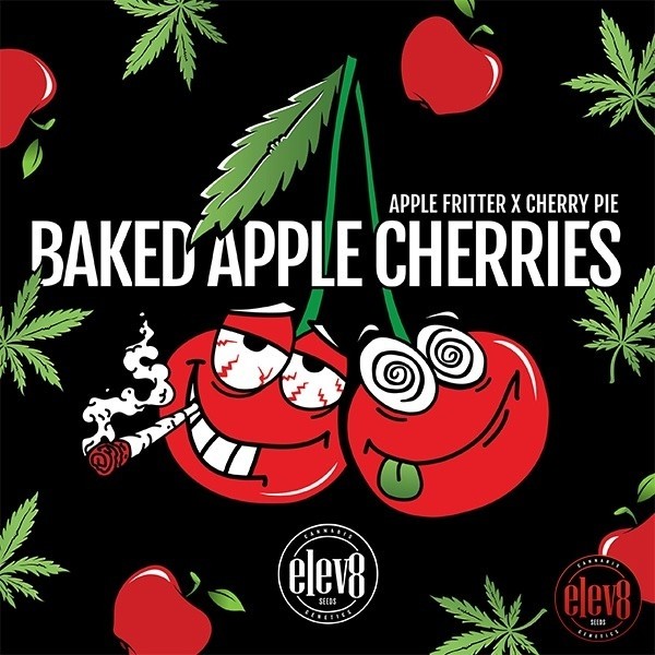 Gebackene Apfel-Kirschen von Elev8 Seeds - GB The Green Brand