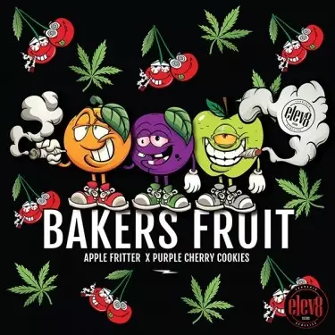 Bakers Fruit Samen von Elev8 Seeds - GB The Green Brand