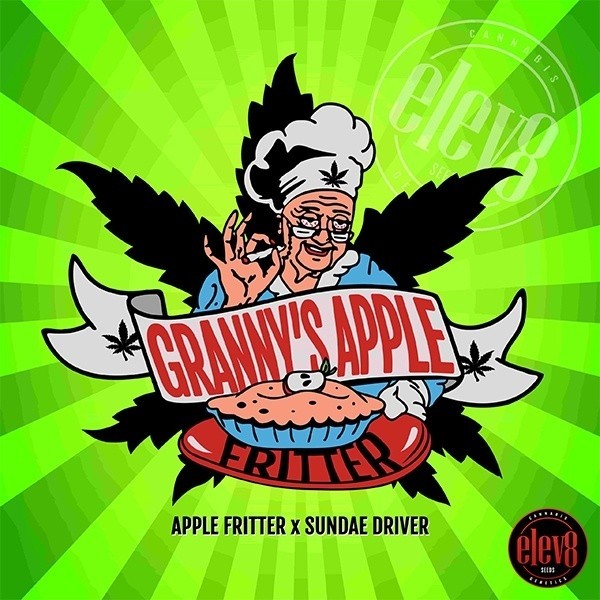 Grannys Apple Fritter von Elev8 Seeds - GB The Green Brand