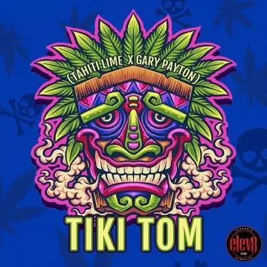 Tiki Tom-Samen von Elev8 Seeds - GB The Green Brand