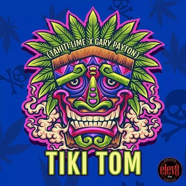 Tiki Tom-Samen von Elev8 Seeds - GB The Green Brand