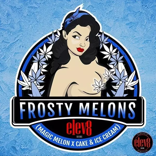 Frosty Melons Samen von Elev8 Seeds - GB The Green Brand