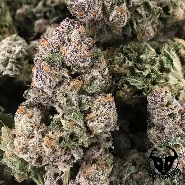 Planta de marijuana Dark Ghost Train