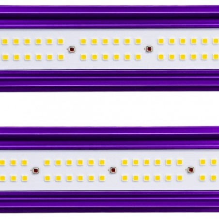 Sistema LED Zeus Lumatek Pro led