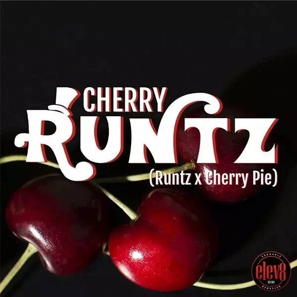 Sicht Cherry Runts Elev8 Seeds camisa detrás