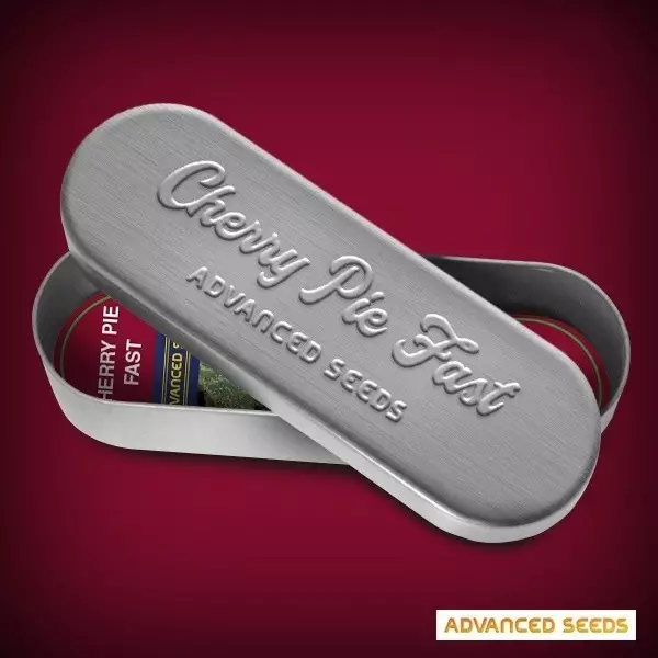 Sicht Cherry Pie Fast