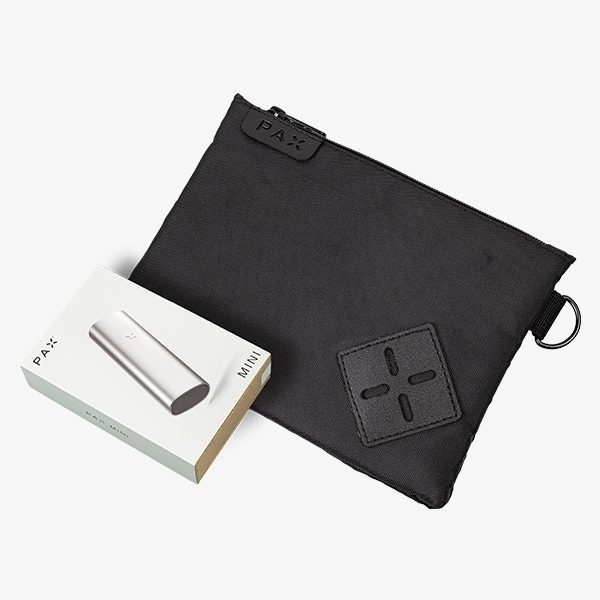 Promo 420 PAX Mini + Estuche Antiolor de Regalo Brushed Platinum