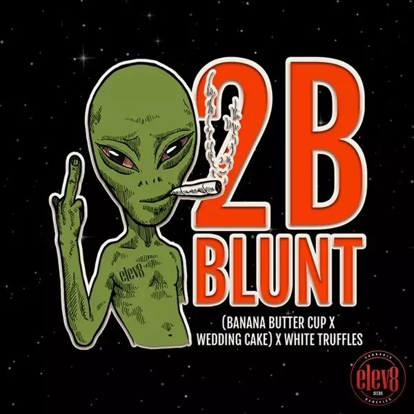 Sicht 2B Blunt Elev8 Seeds