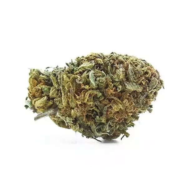 Flores The Tree CBD Outdoor Super Boof Flores The Tree CBD Outdoor