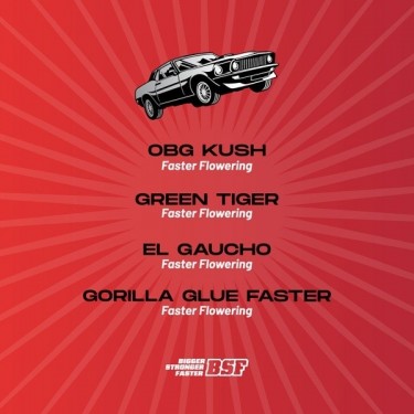 View Faster and Furious Faster Mix