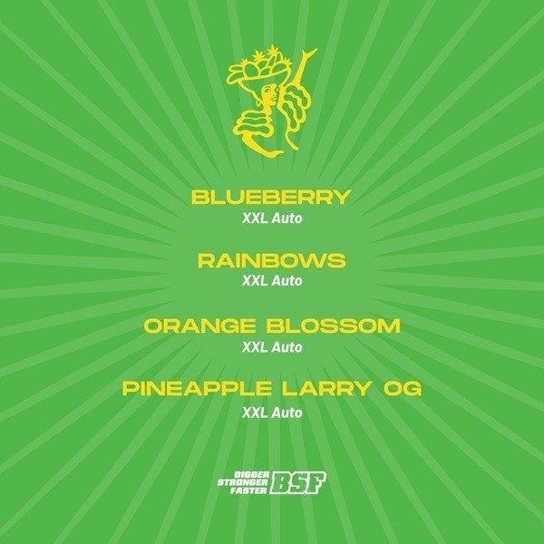 View Tutti Frutti XXL Mix Autoblühend