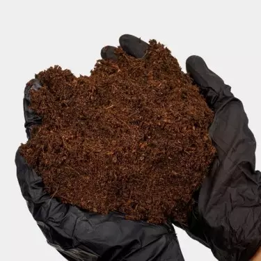 Coco Mix GB Nutrients in Händen