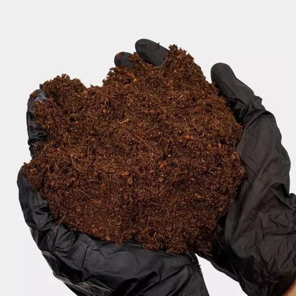 Coco Mix GB Nutrients in Händen