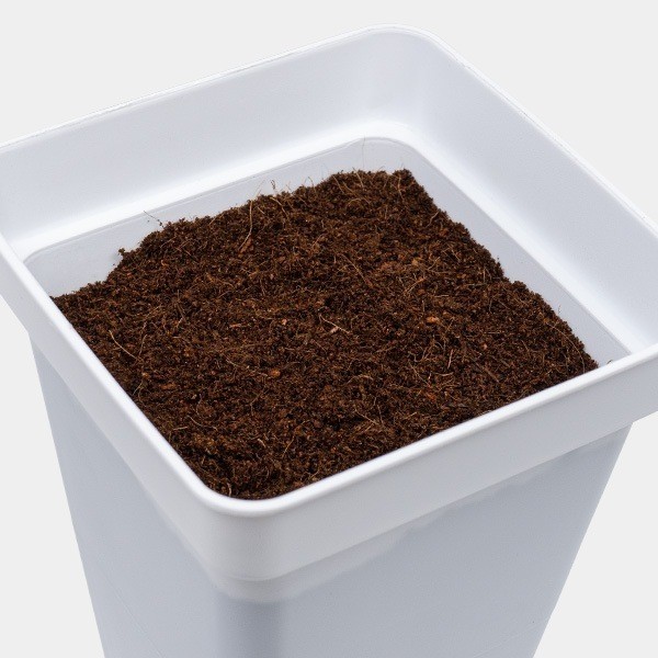 Coco Mix GB Nutrients vergossen