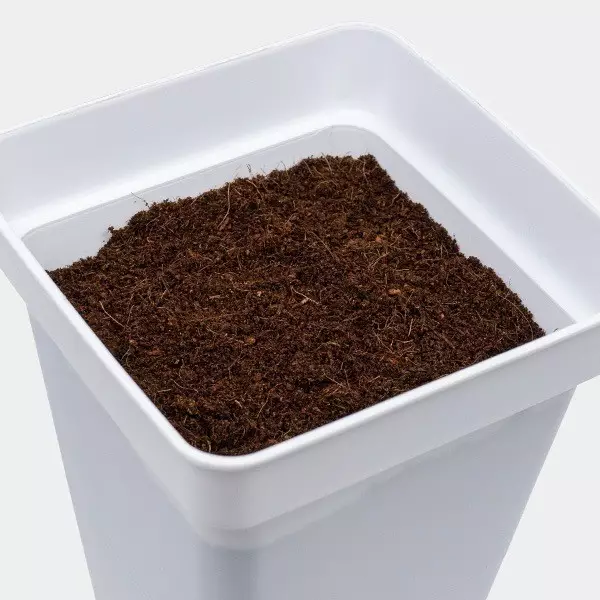 Coco Mix GB Nutrients vergossen