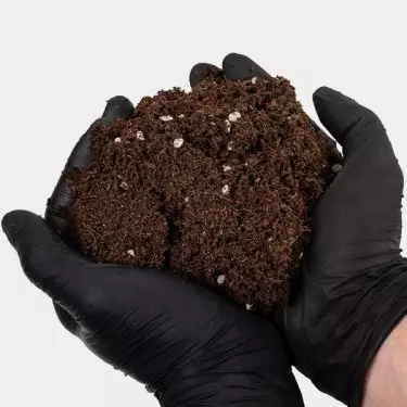 Light Mix GB Nutrients an der Hand