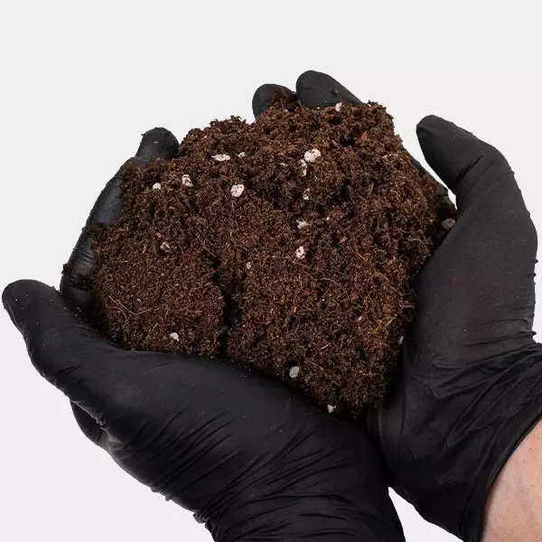 Light Mix GB Nutrients an der Hand