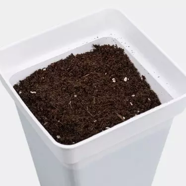 Light Mix GB Nutrients getopft