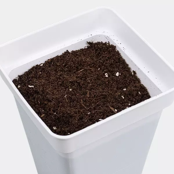 Light Mix GB Nutrients getopft