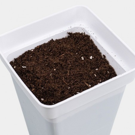 Light Mix GB Nutrients getopft