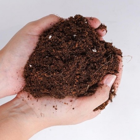 Light Mix Boom Nutrients en manos