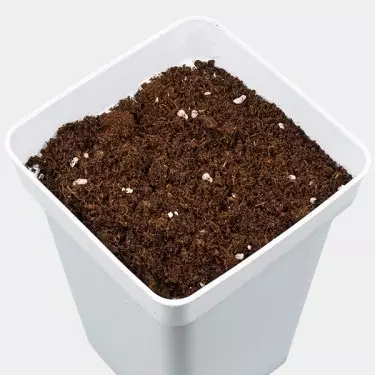 All Mix GB Nutrients getopft