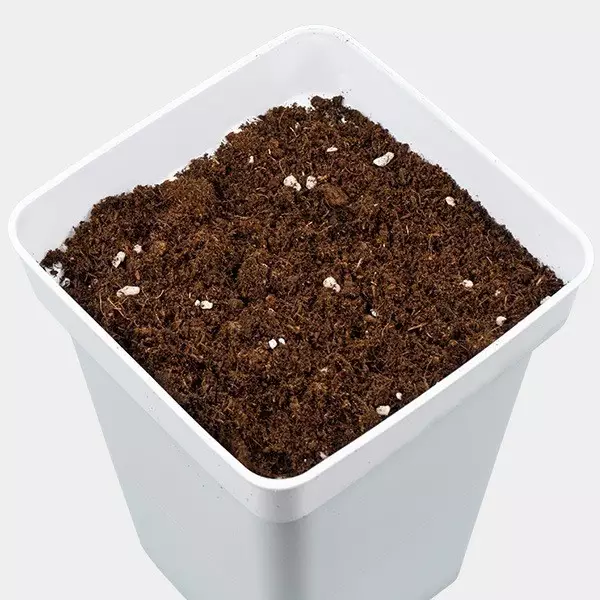 All Mix GB Nutrients getopft