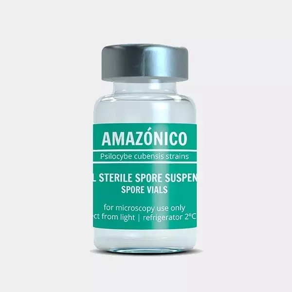 Sicht Amazonian sporenampulle