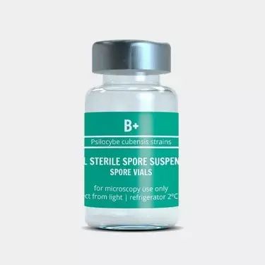 Sporenampulle B+