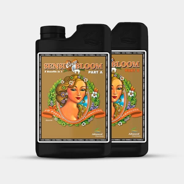 View Sensi Bloom A+B Coco